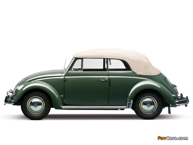 Pictures of Volkswagen Beetle Convertible 1953–57 (640 x 480)
