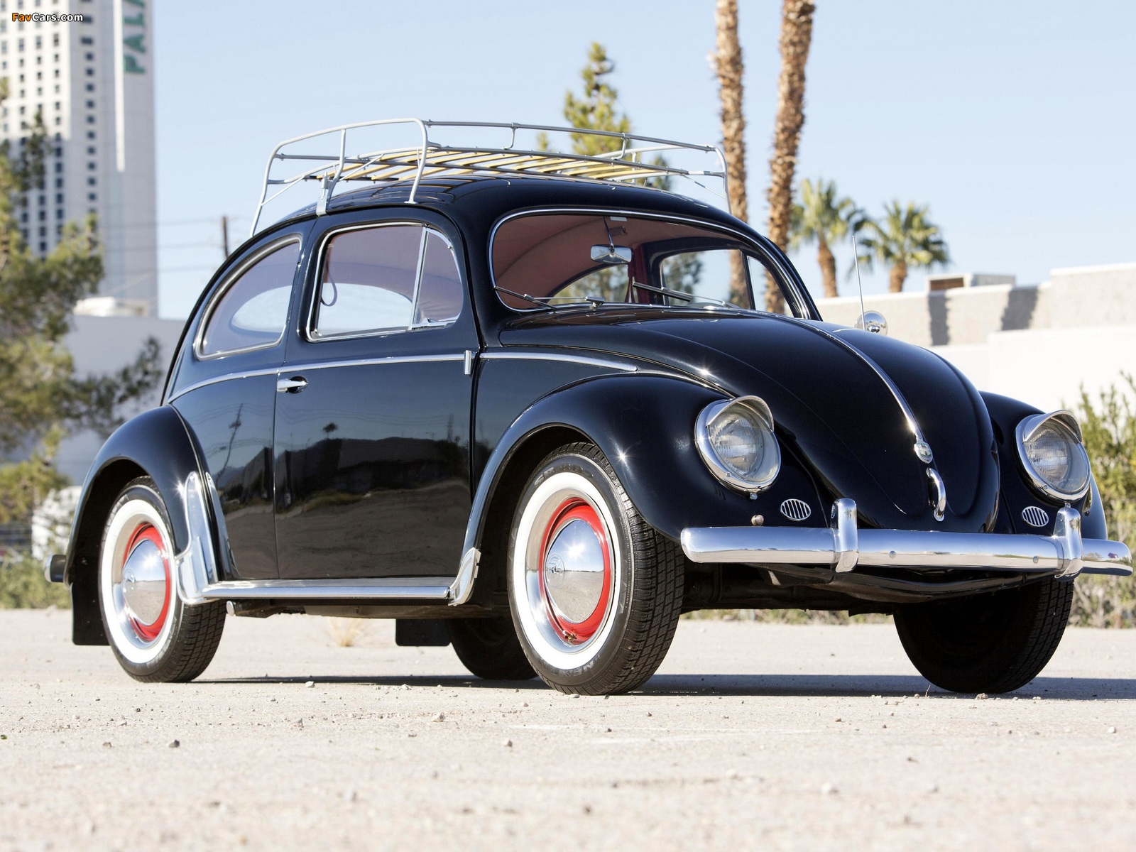 Pictures of Volkswagen Beetle North America 1954 (1600 x 1200)