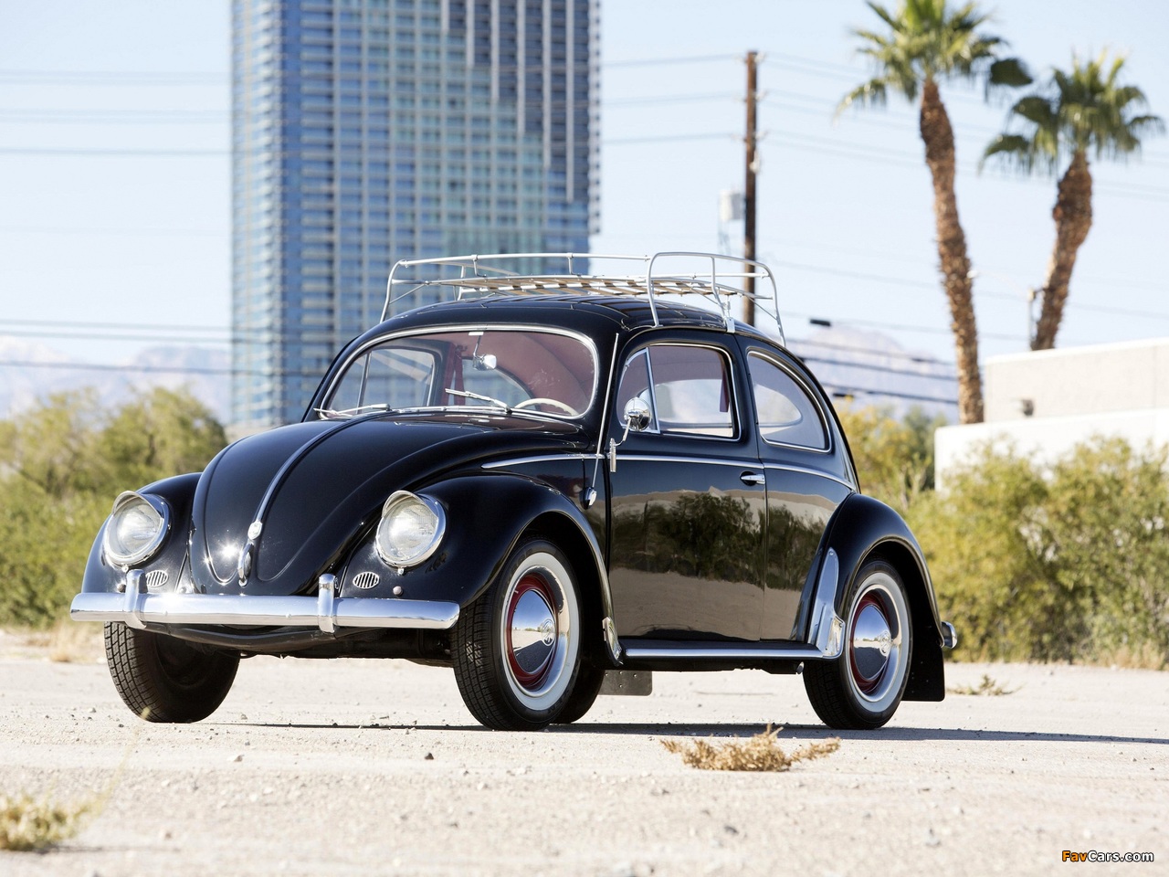 Pictures of Volkswagen Beetle North America 1954 (1280 x 960)