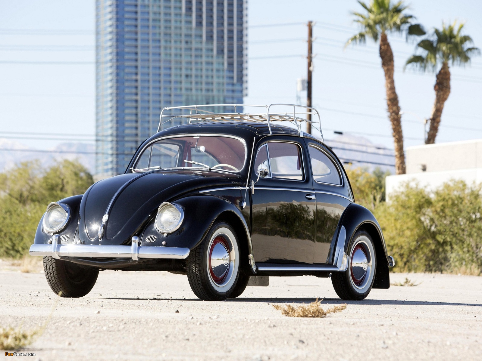 Pictures of Volkswagen Beetle North America 1954 (1600 x 1200)