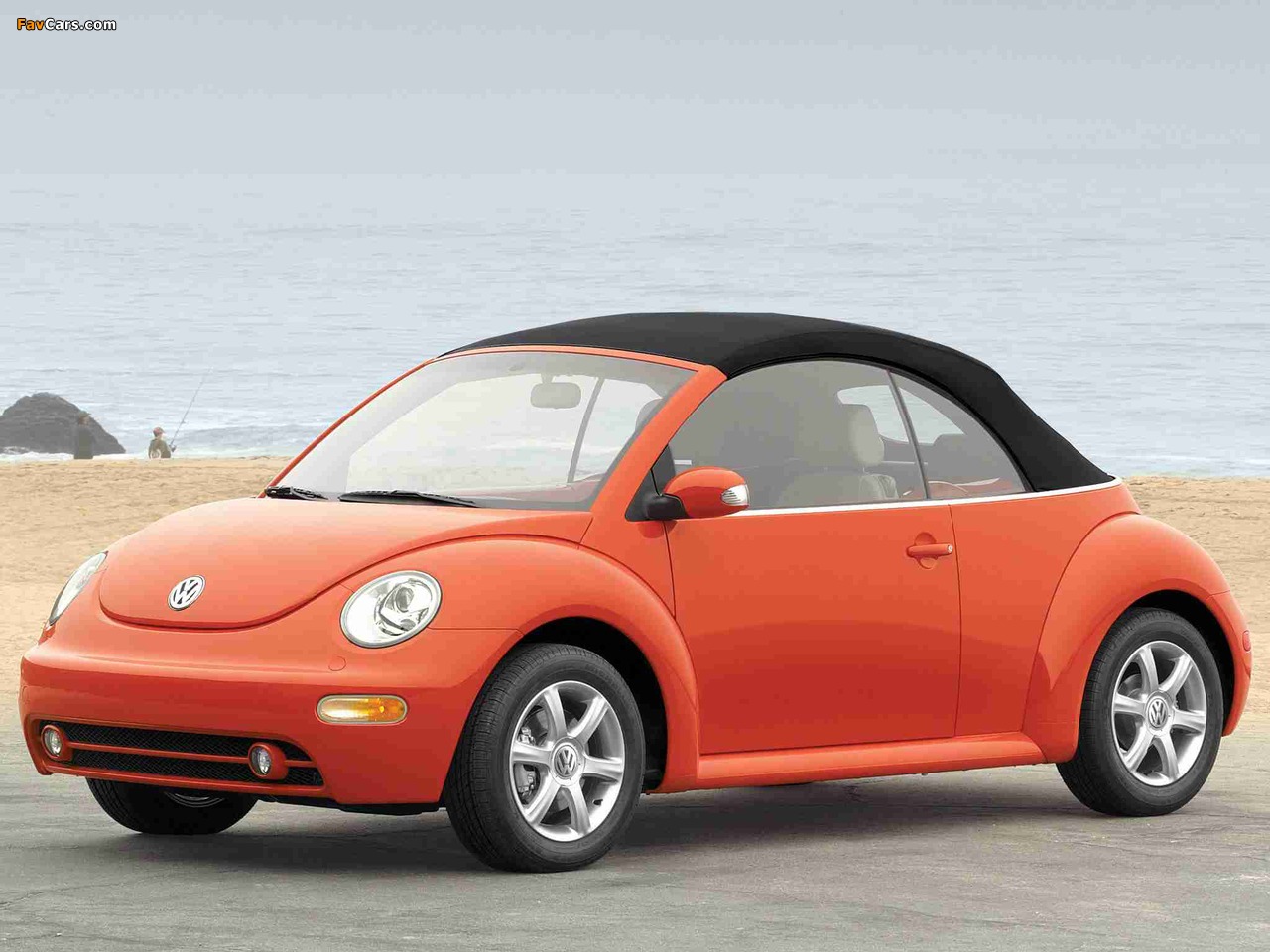 Pictures of Volkswagen New Beetle Convertible 2000–05 (1280 x 960)