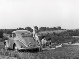 Pictures of Volkswagen Beetle / Käfer