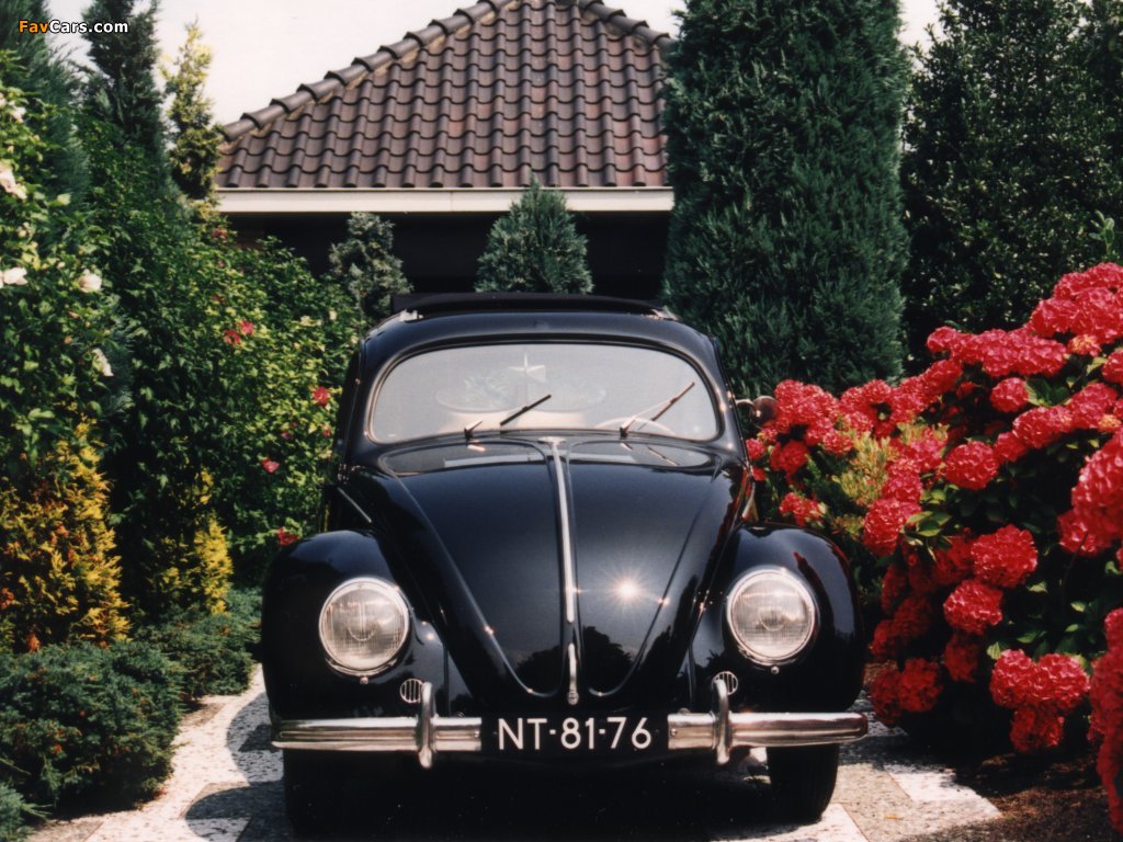 Volkswagen Käfer 1938 pictures (1024 x 768)