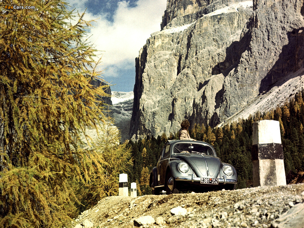 Volkswagen Käfer 1953–57 photos (1024 x 768)