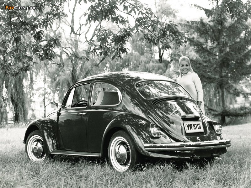 Volkswagen Beetle 1962–68 photos (800 x 600)