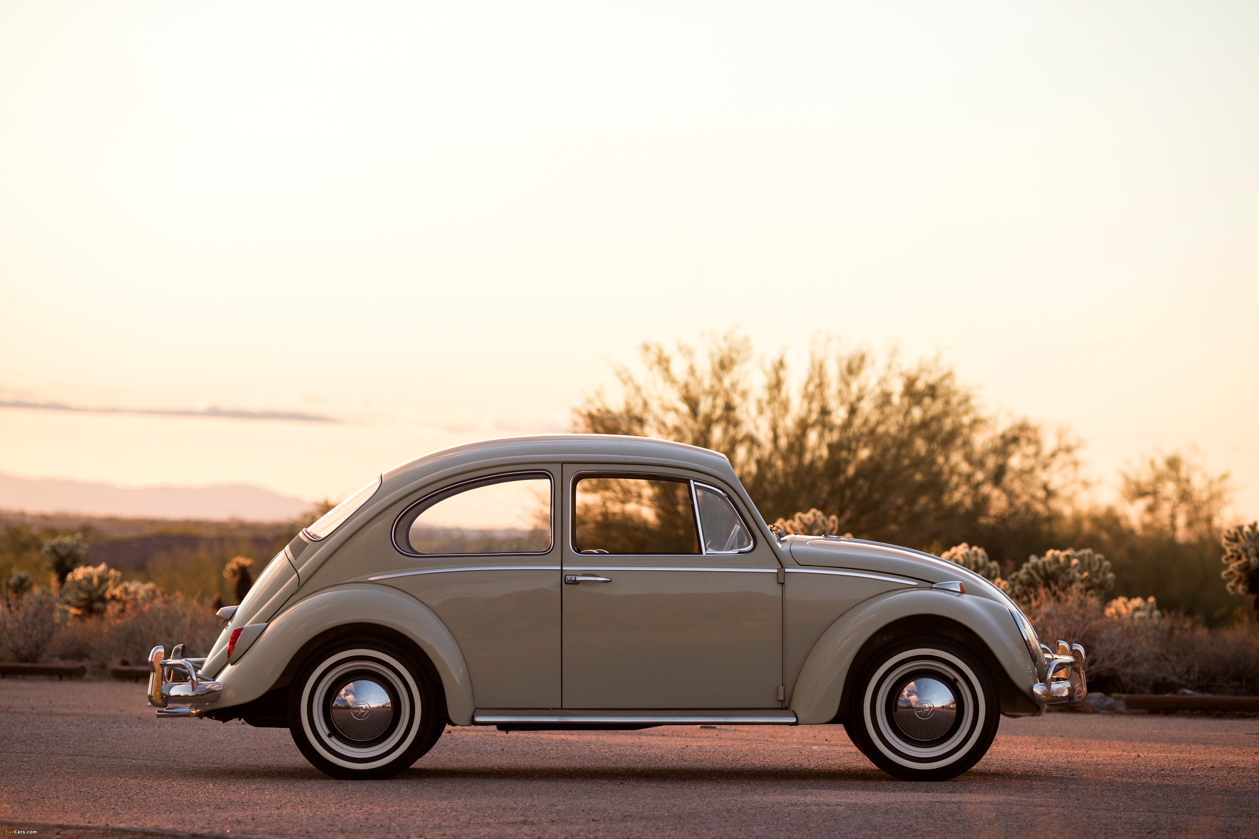 Volkswagen Beetle North America 1965 images (4000 x 2666)