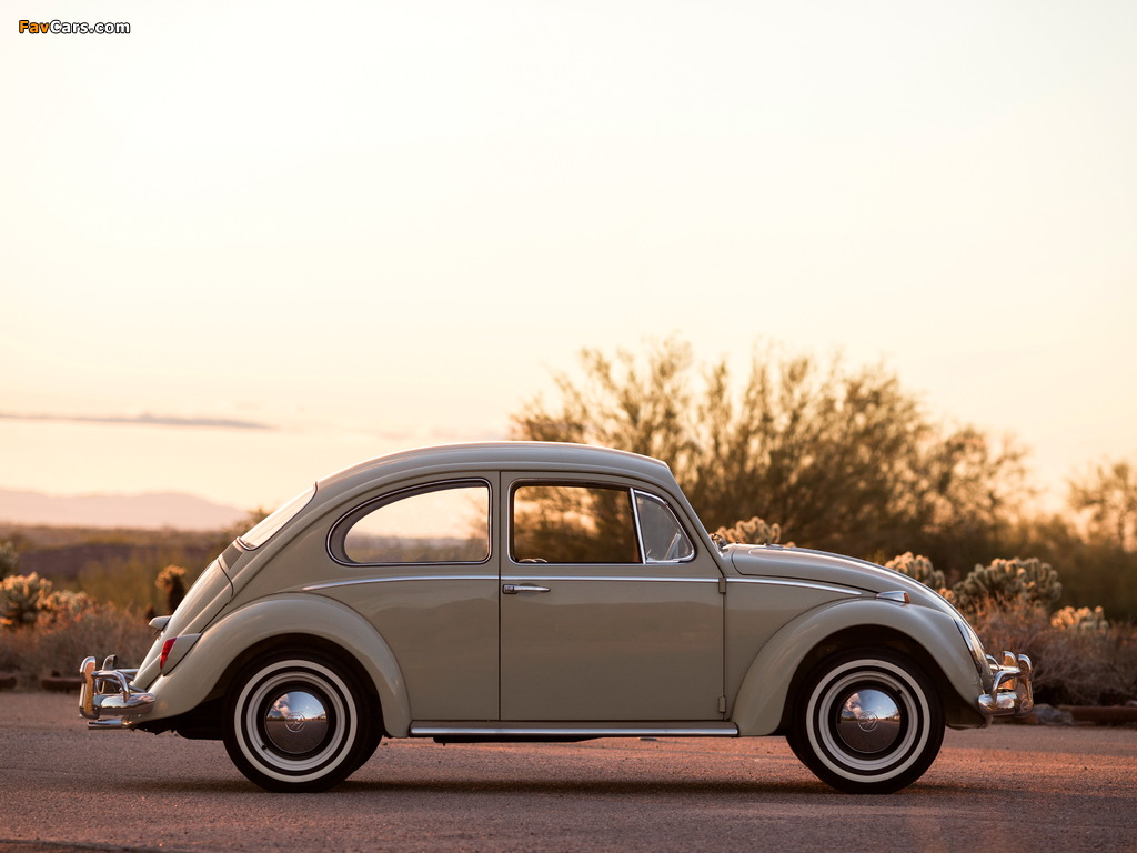 Volkswagen Beetle North America 1965 images (1024 x 768)