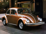 Volkswagen Beetle 1976 pictures