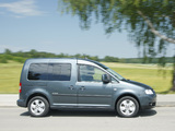 Images of Volkswagen Caddy Life (Type 2K) 2004–10