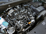 Photos of Volkswagen Caddy Maxi (Type 2K) 2010