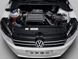 Volkswagen Jetta CN-spec 2013 pictures