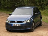 Volkswagen Polo BlueGT 5-door (Typ 6R) 2012 pictures