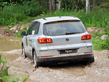 Volkswagen Tiguan Track & Style 2011 images