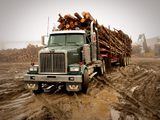 Western Star 4900 FA Logging Truck 2008 images