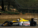 Pictures of Williams FW12C 1989